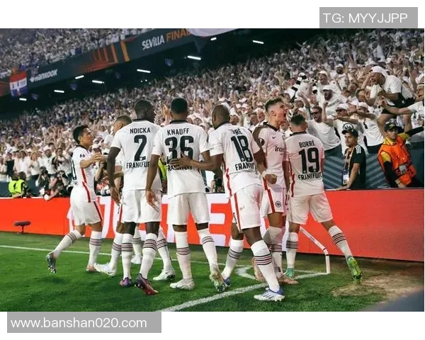 欧冠门票系统故障致数万球迷排队12小时苦等抢票机会