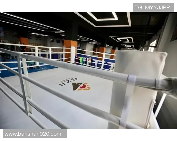 探索体育俱乐部平面图设计的创新理念与空间布局优化方案